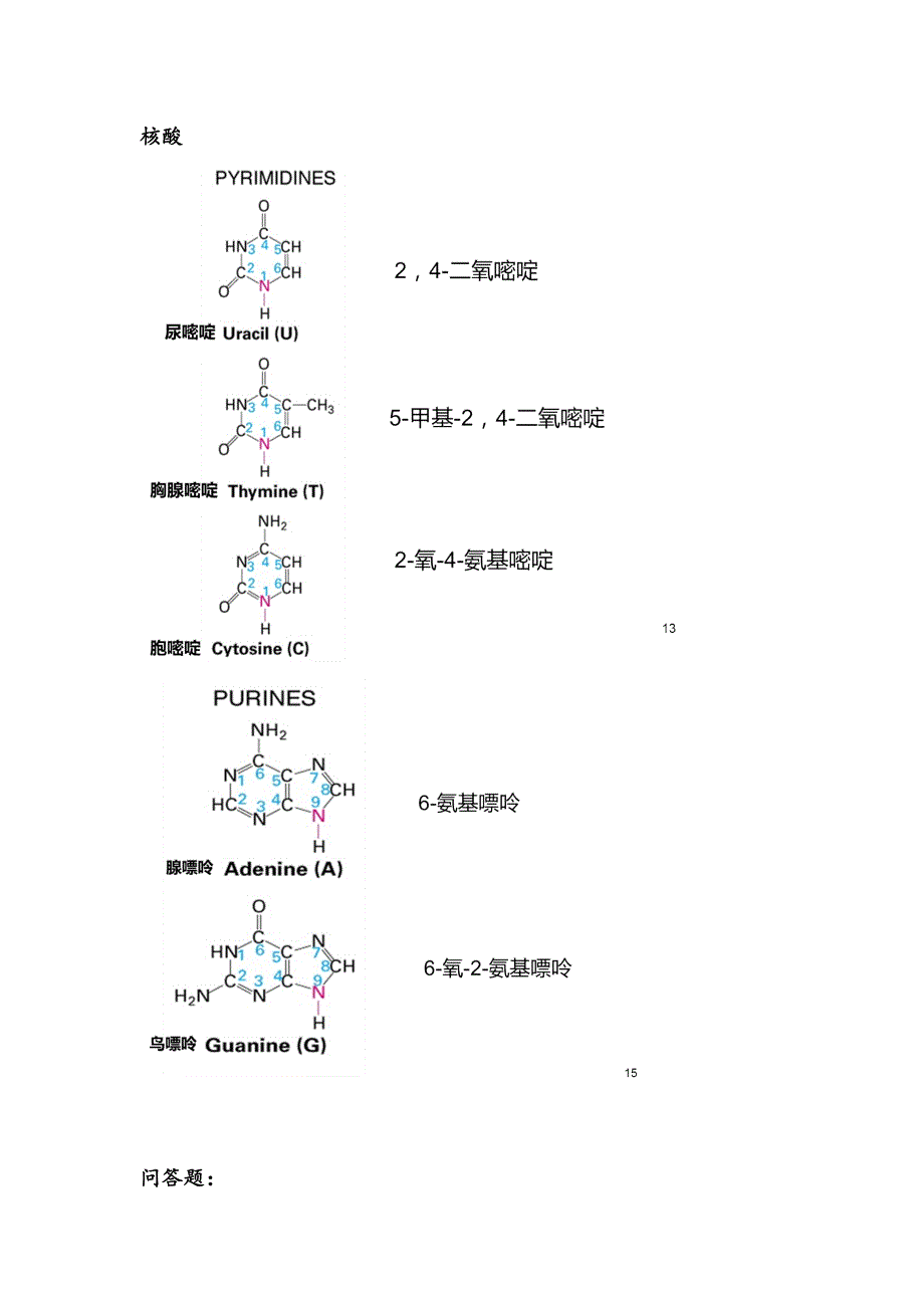 普通生物化学核酸、酶学知识点._第1页