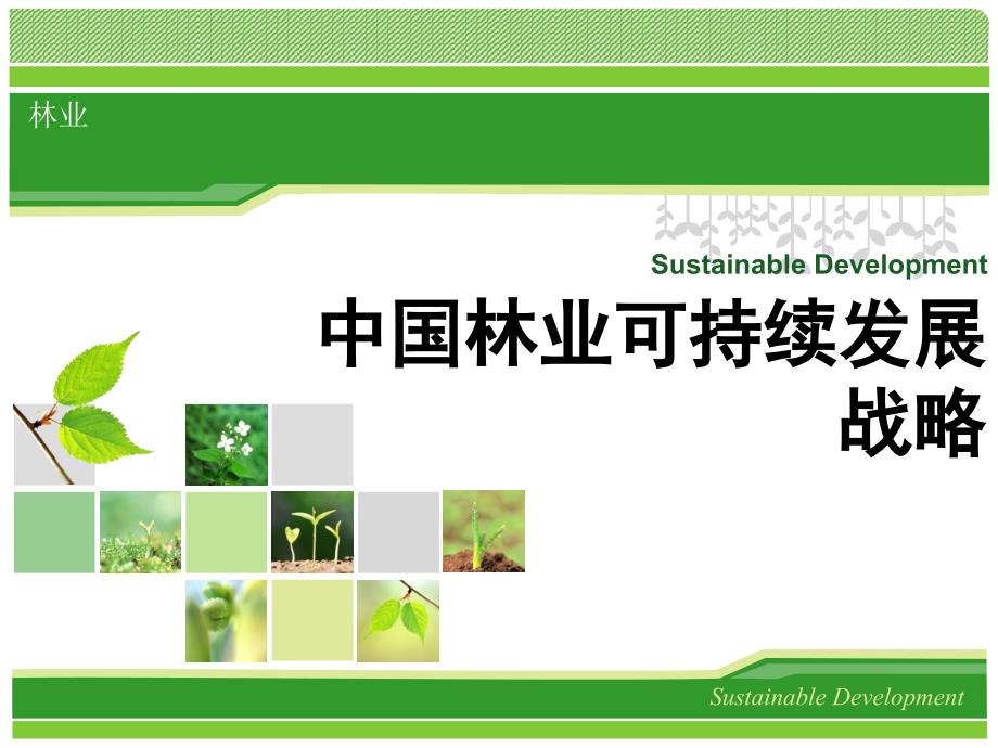 中国林业可持续发展战略（2011）_第1页