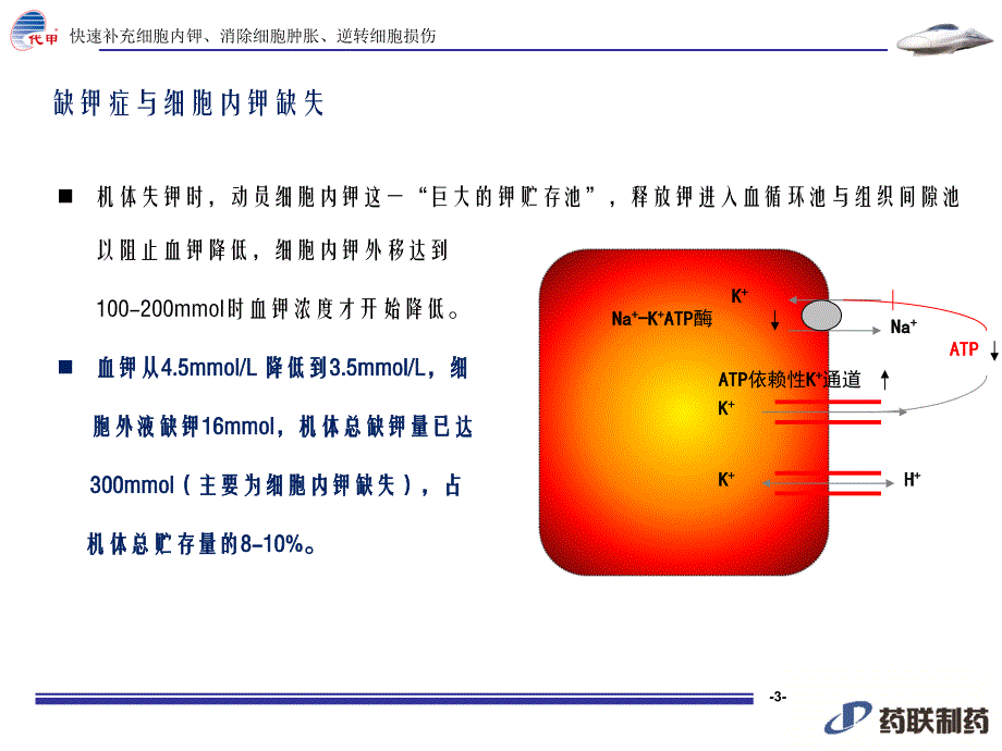 门冬氨酸钾注射液(代甲)ppt_第3页