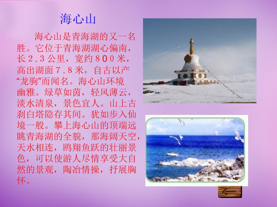 语文版初中语文八上《3青海湖梦幻般的湖》PPT课件 (5)_第4页