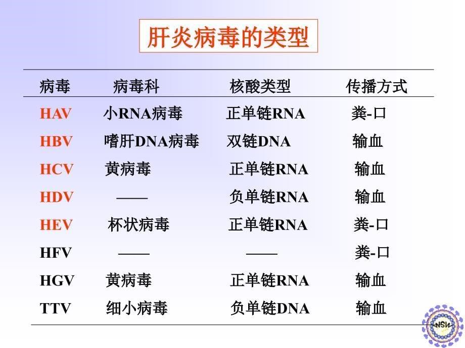 病毒性肝炎科普知刘金旭课件_第5页