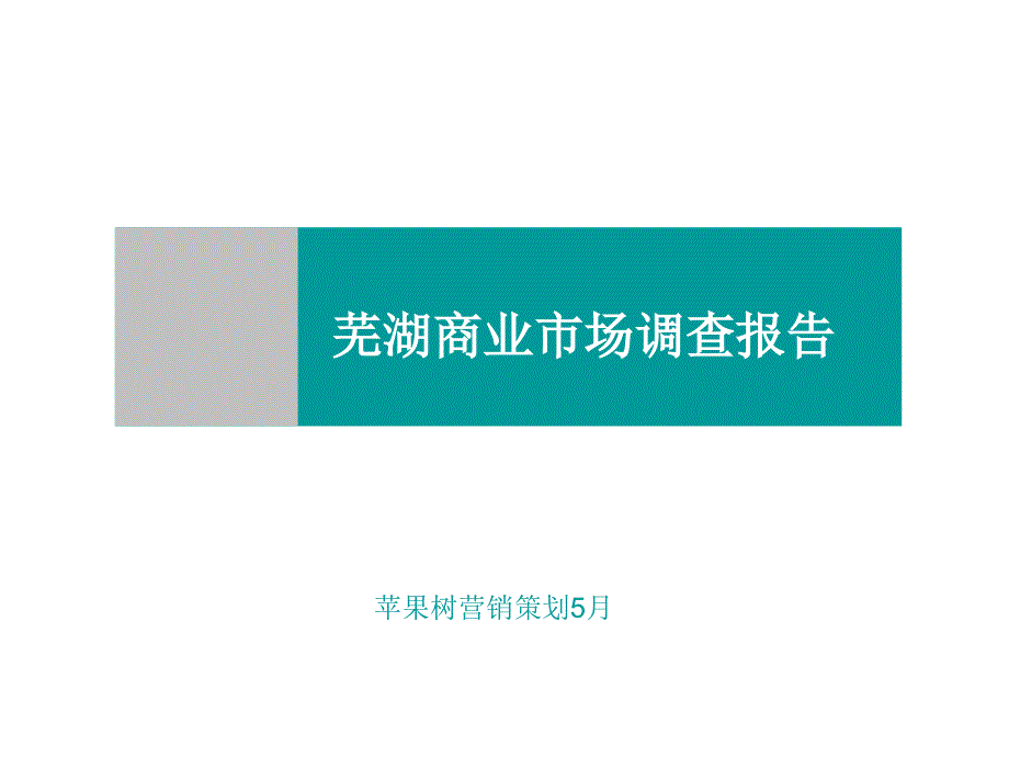 安徽芜湖商业市场调查报告-_第1页