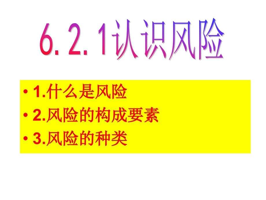 情景3个人风险管理和保险规划_第5页