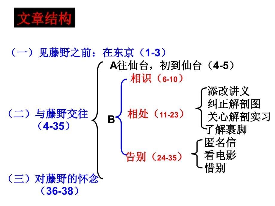 八下期中课内复习_第5页