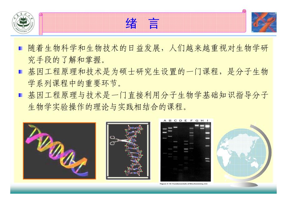 chap-1-基因工程原理与技术-绪论_第2页