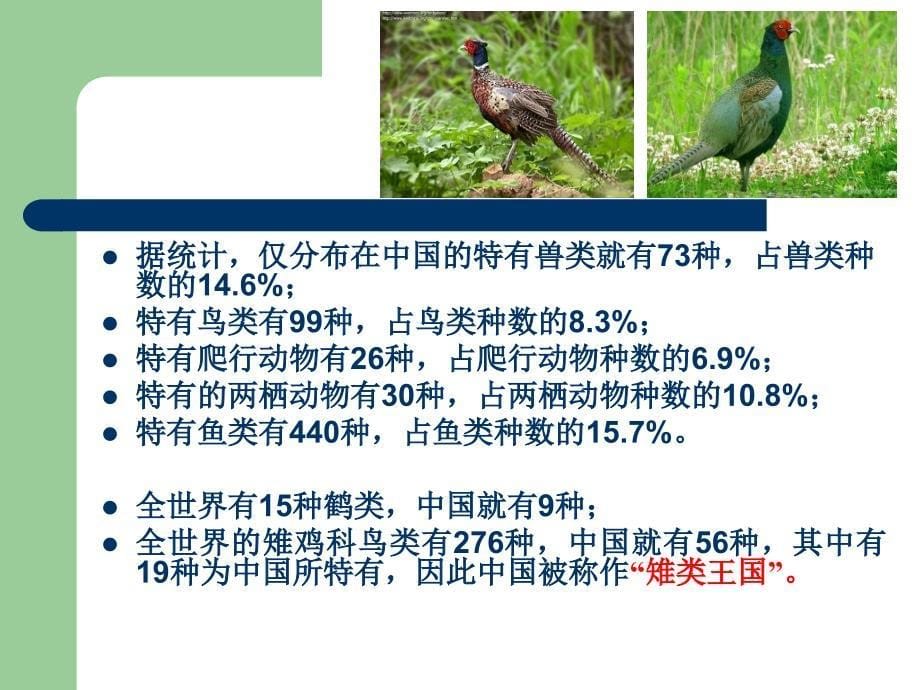 野生动物的保护讲义_第5页