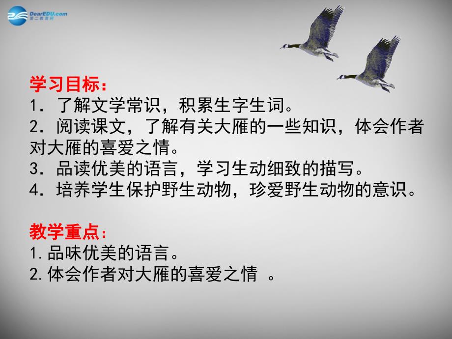 人教初中语文八下《13旅鼠之谜》PPT课件 (5)_第2页