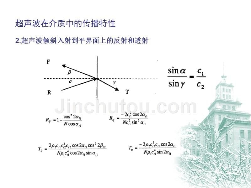 超声波检测在木材检测中的应用_第5页