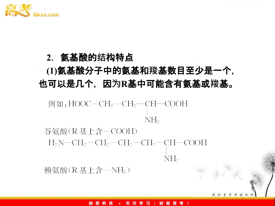 氨基酸、蛋白质结构、多样性及其功能_第4页