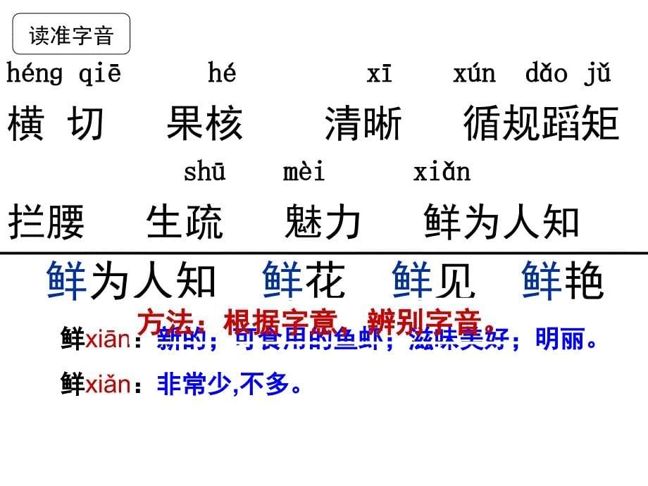 苏教版四下5《苹果里的五角星》_第5页