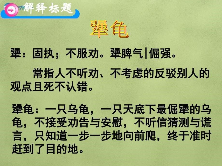 语文版初中语文七上《14犟龟》PPT课件 (5)_第5页