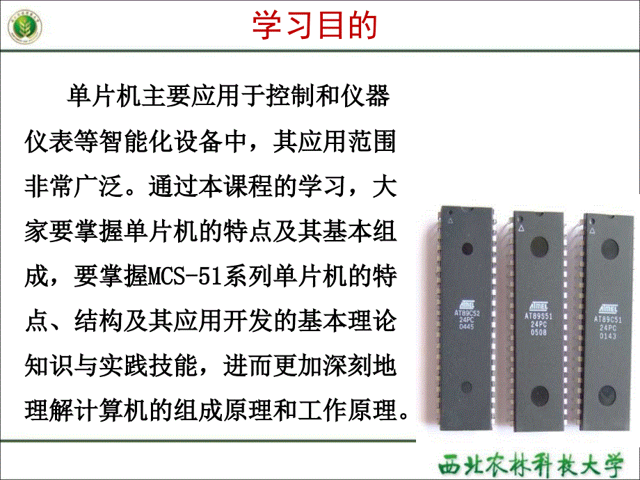 单片机及应用概要_第2页