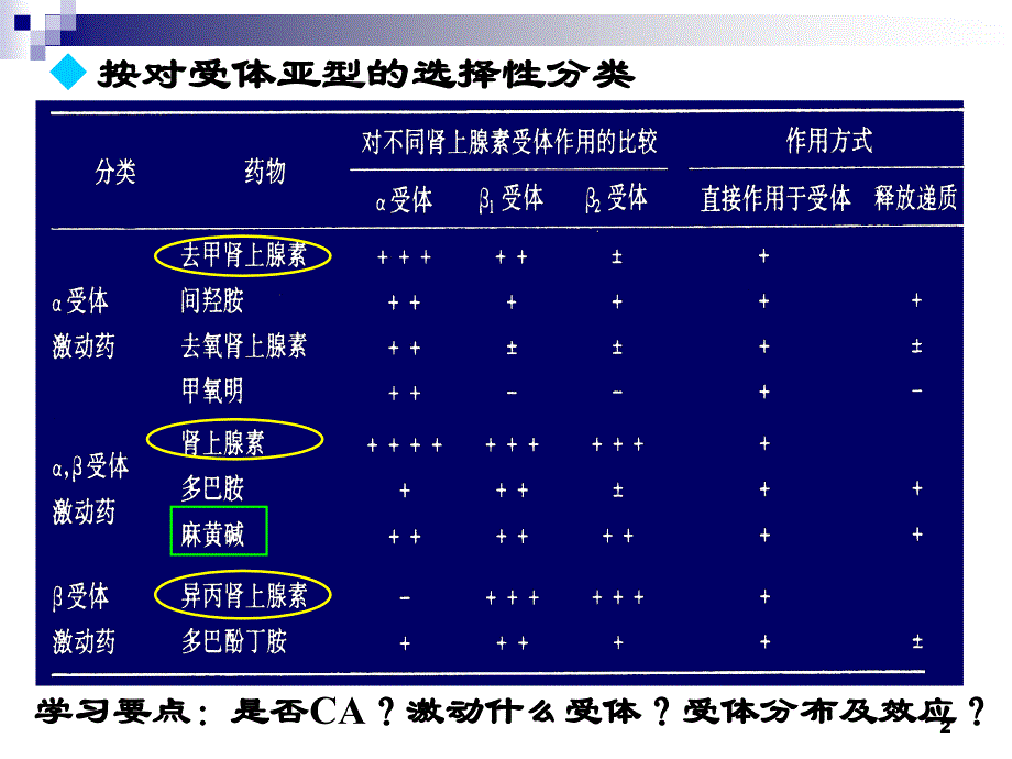 拟肾上腺素药 9抗肾上腺素药（54学时）_第2页