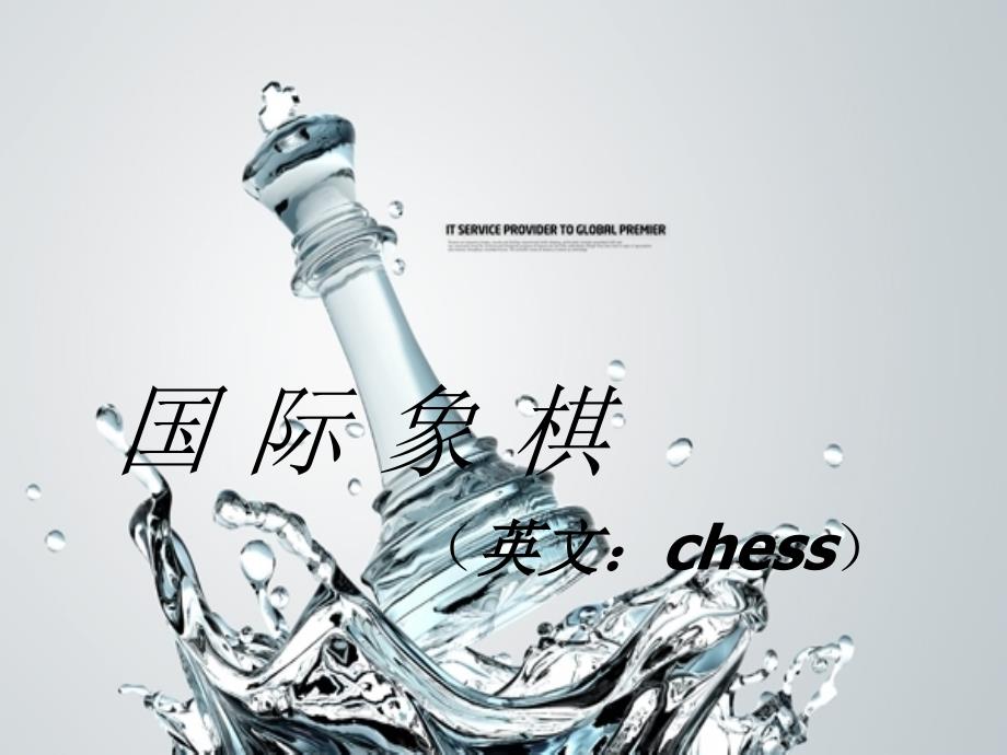 国际象棋 棋盘 棋子_第2页