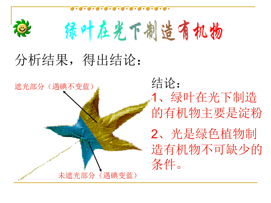 第五章_第一节_光合作用吸收二氧化碳释放氧气讲义_第1页