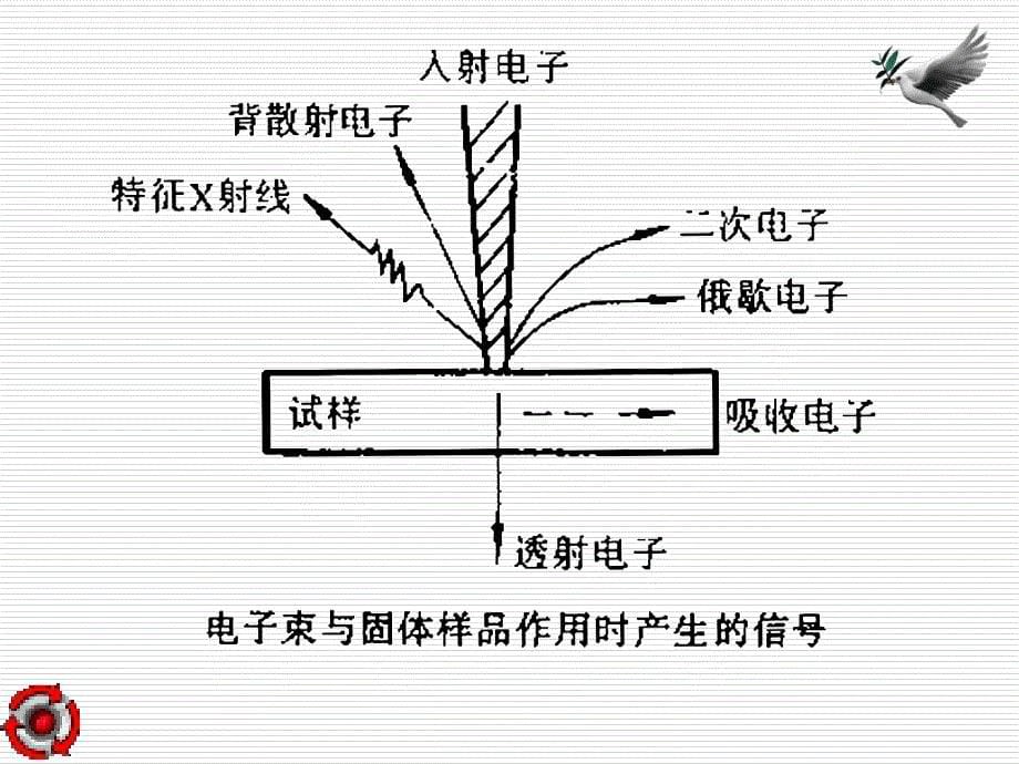 第13章扫描电镜_第5页