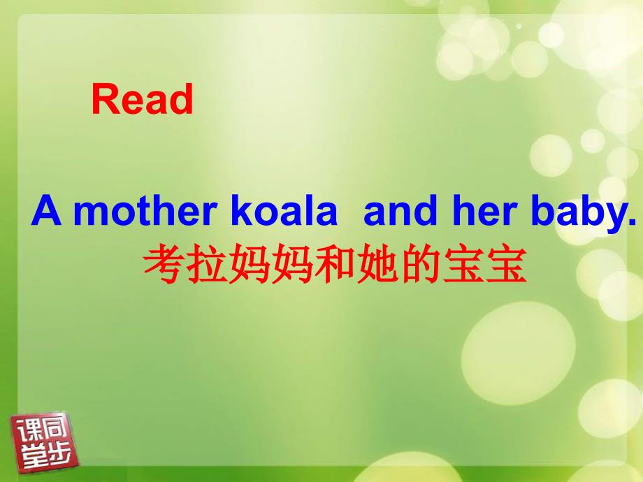 a koala mother and her baby_第2页