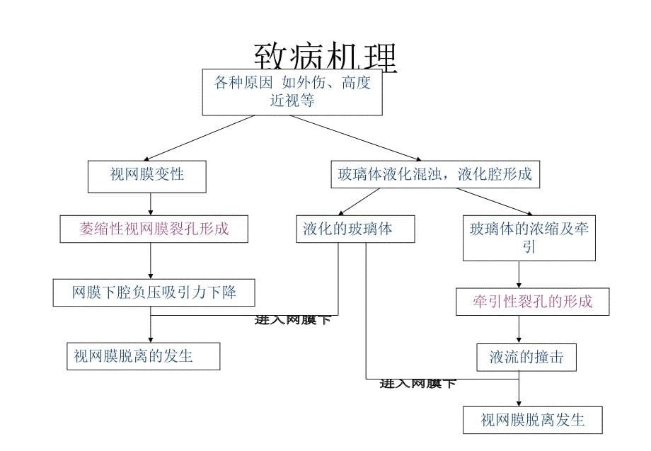 裂孔性视网膜脱离手术方法选择新探讨课件_第5页