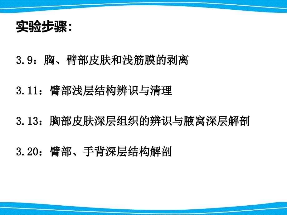 局解实验修改版概要_第5页