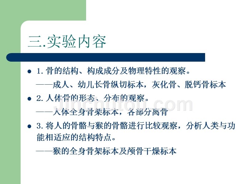 实验3骨的形态、结构与分布_第4页