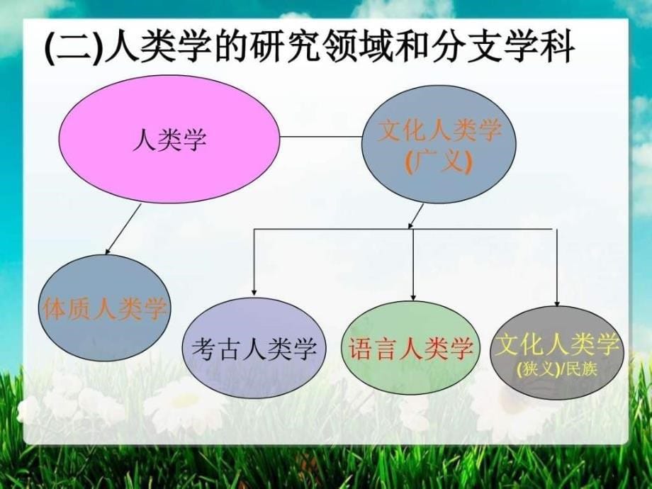 人类学概论_第5页