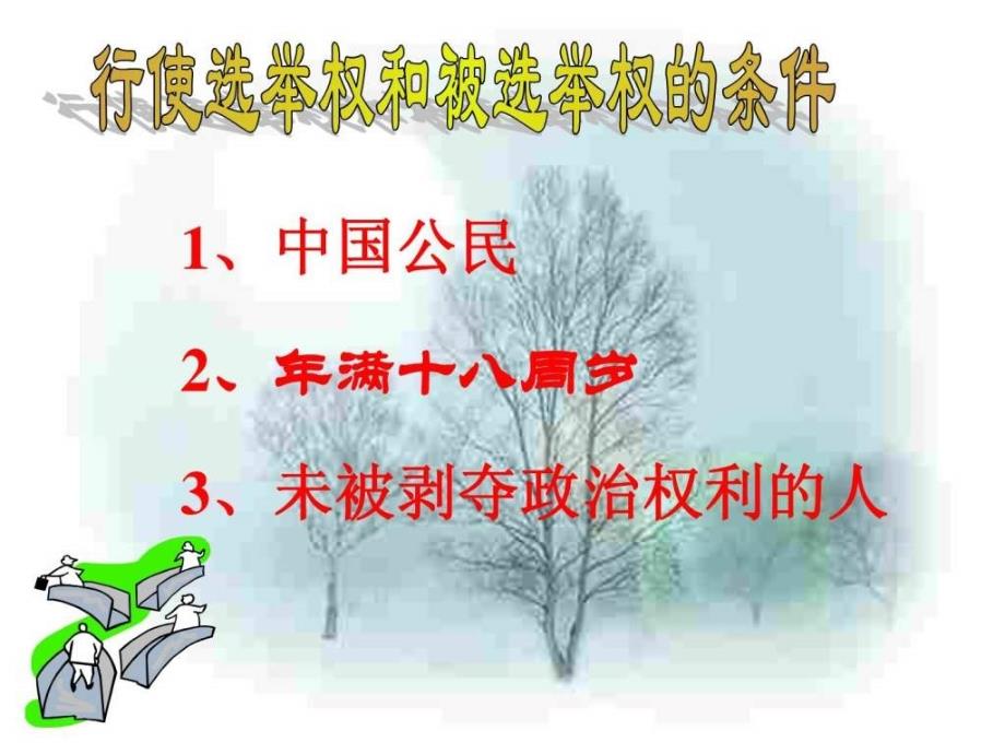 九年级思品依法参与政治生活1_第3页