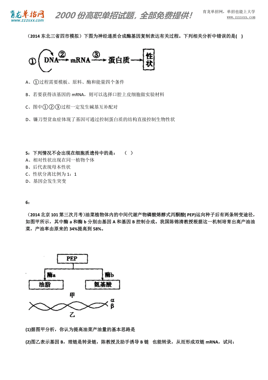 2016年福建高职招考生物模拟试题：基因对性状的控制_第2页