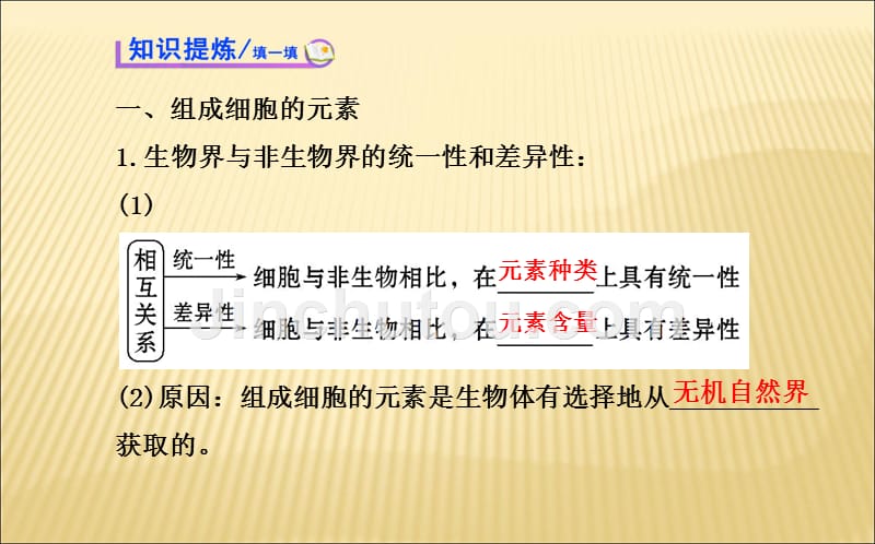 细胞中的元素和化合物课件（人教版必修1）_第3页