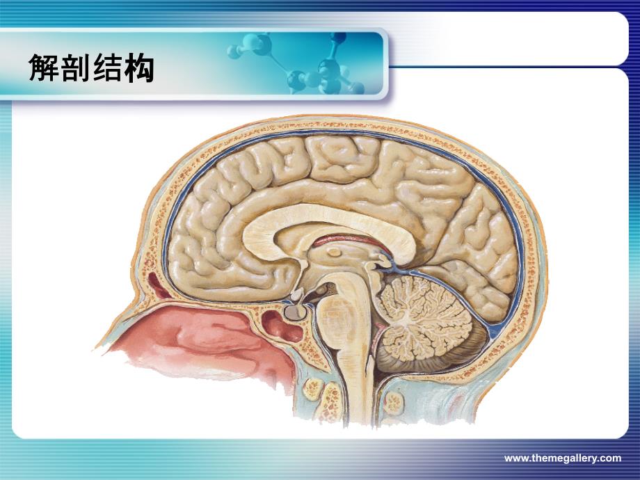 护理临床思维与实践_2_第4页