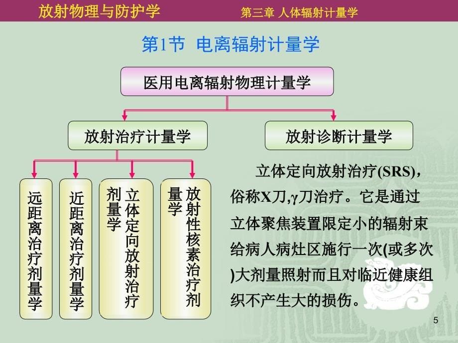 第03章人体辐射计量学_第5页