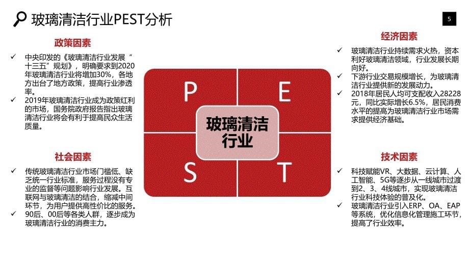 玻璃清洁行业发展前景竞争分析_第5页