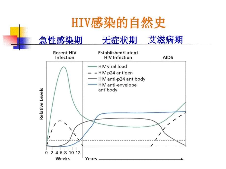 hiv核酸检测技术与应用_第5页