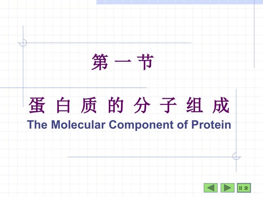 医学生物化学课件.第01章蛋白质_第5页