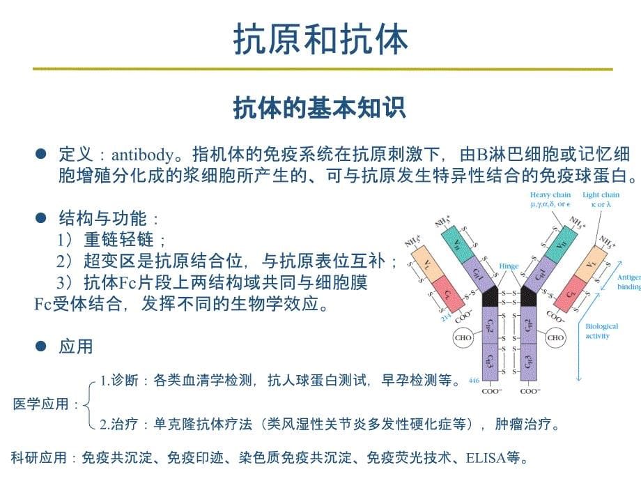 elisa、western blot、免疫组化、rt-pcr实验方法原理与其在sci论文材料方法、结果中写作_第5页