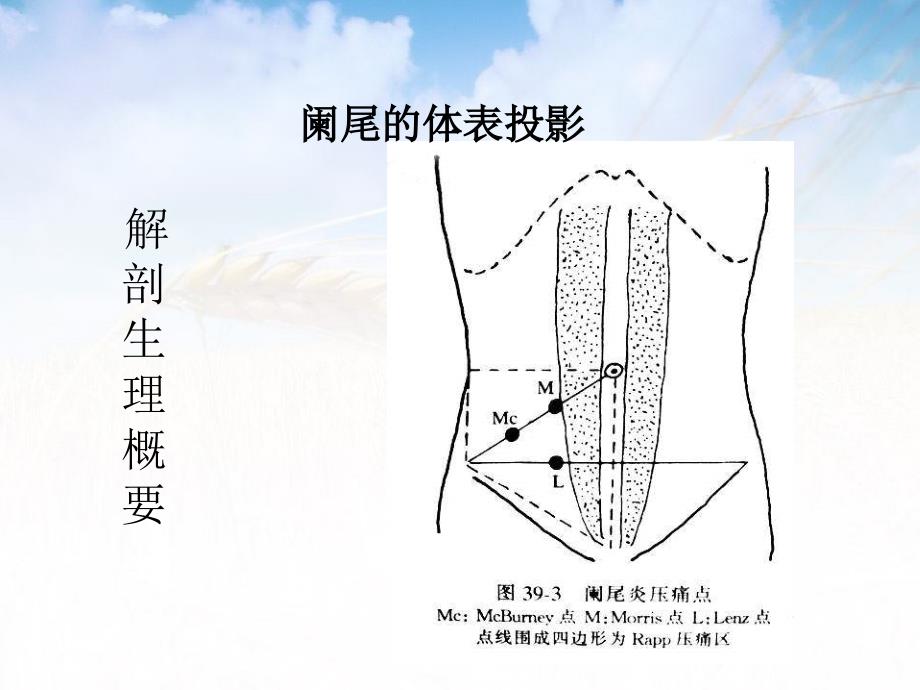 第三十六章阑尾疾病_第3页