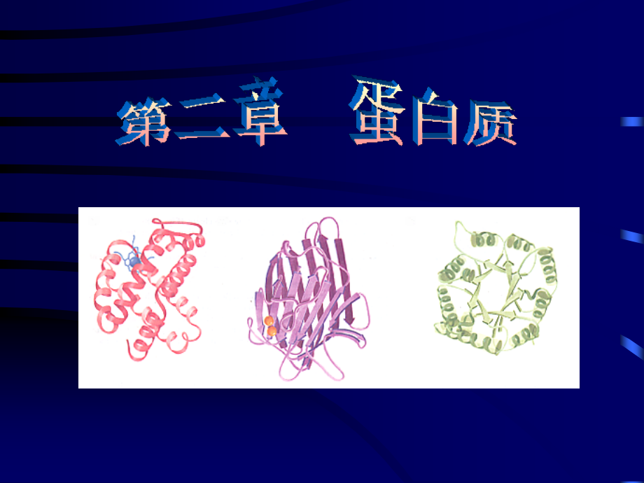 生物化学2蛋白质(环境)_第1页