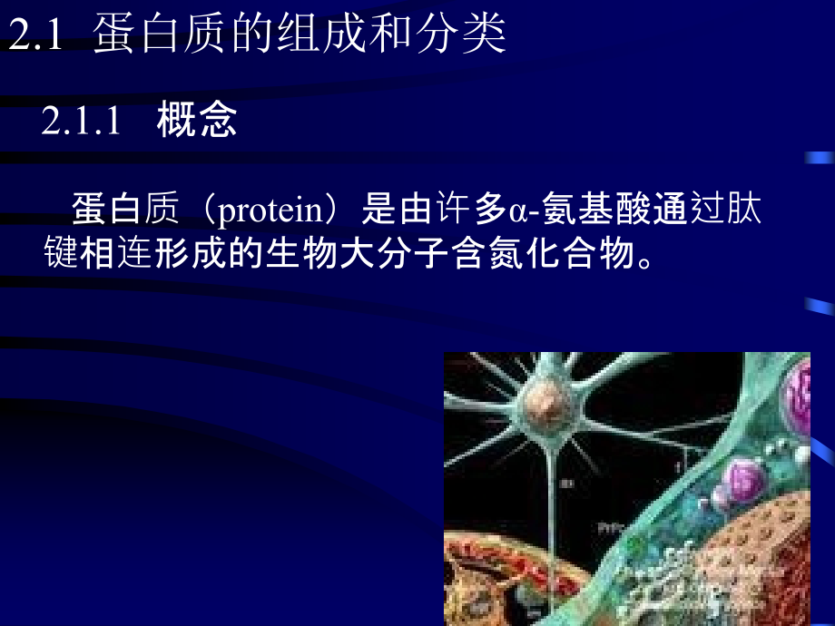 生物化学2蛋白质(环境)_第3页