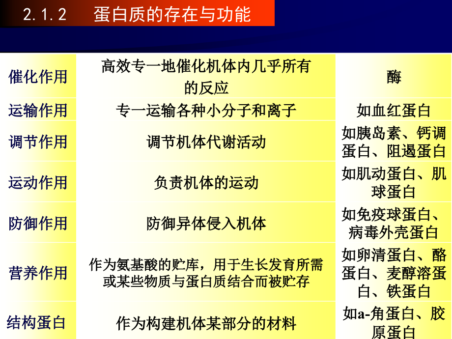 生物化学2蛋白质(环境)_第4页