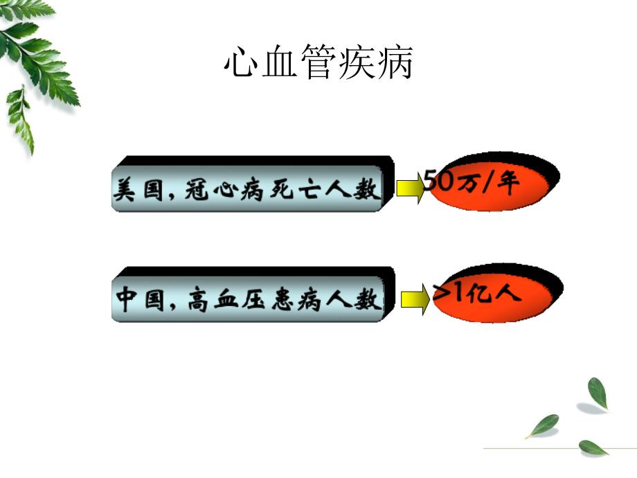 13心力衰竭概要_第3页