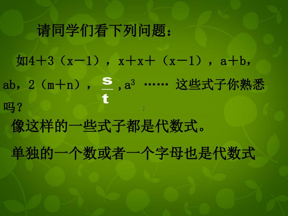 北师大初中数学七上《3.2 代数式》PPT课件 (15)_第2页