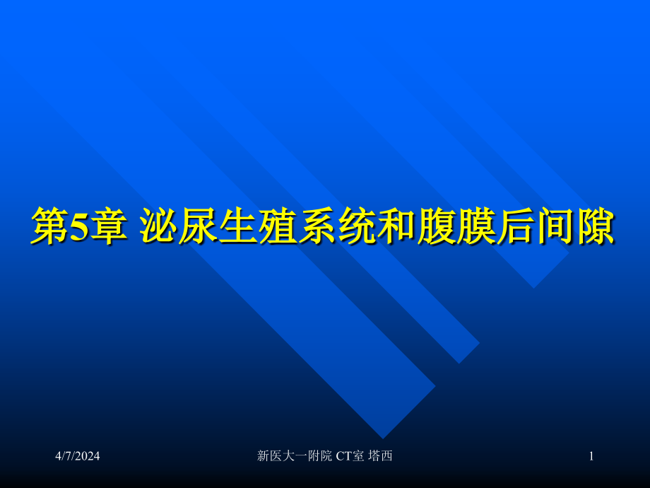 泌尿生殖系统和腹膜后间隙(新疆医科大ct诊断课件-)_第1页