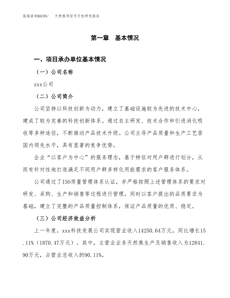 天然焦项目可行性研究报告（总投资13000万元）（62亩）_第3页