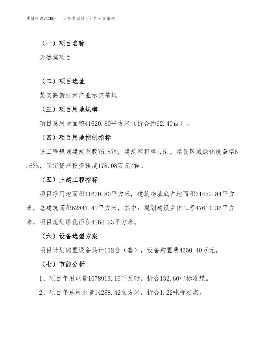 天然焦项目可行性研究报告（总投资13000万元）（62亩）_第5页