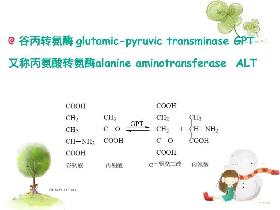 生化试验观察血清中谷丙转氨酶的活力变化讲义_第5页