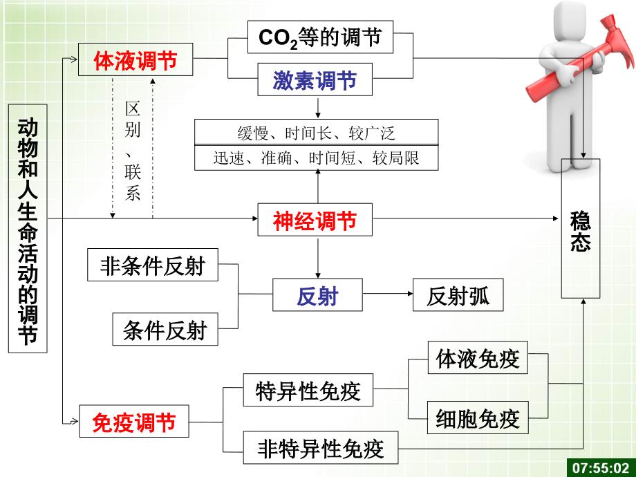 动物激素调节二轮复习_第3页