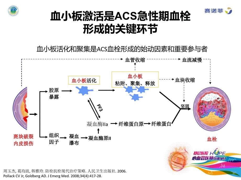 acs患者的抗血小板治疗规范_第5页