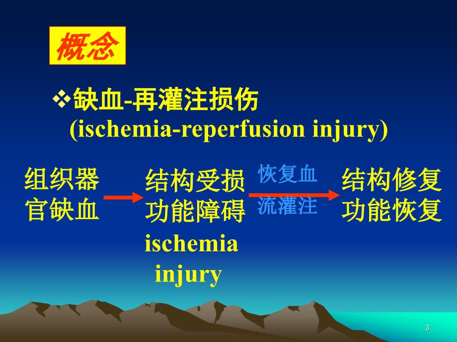 病理生理学缺血再灌注损伤必看ppt_第3页