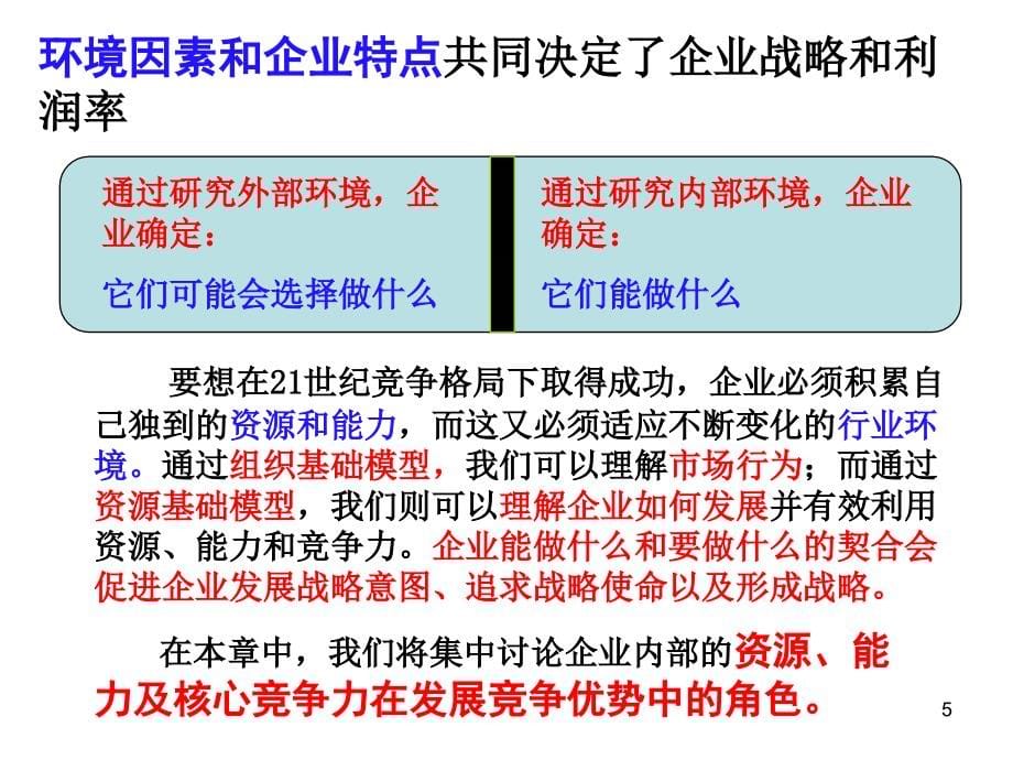 战略管理课件4企业内部环境分析_第5页