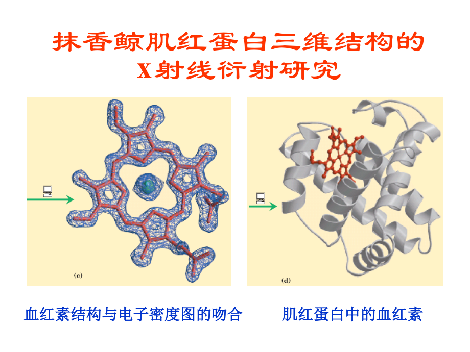 生物化学第5章蛋白质三维结构_第4页