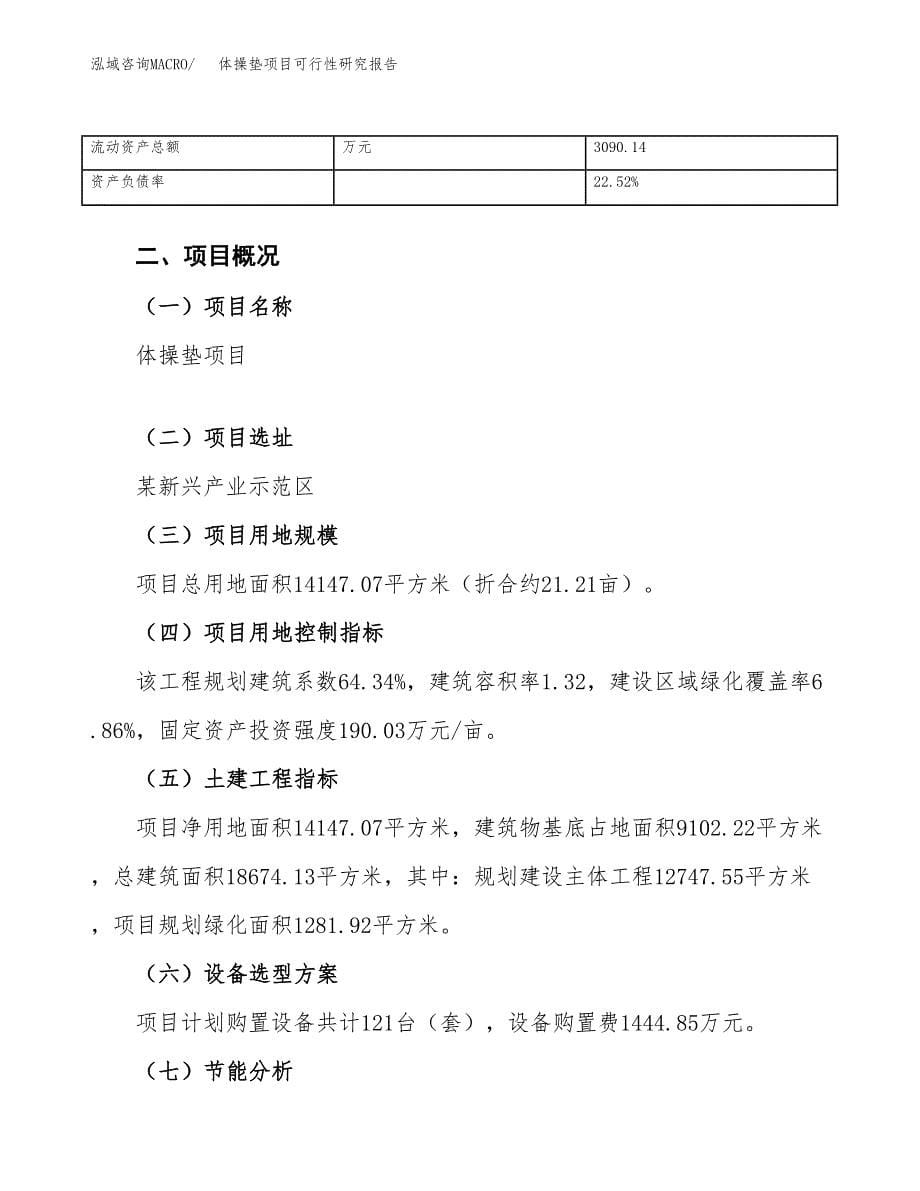 体操垫项目可行性研究报告（总投资5000万元）（21亩）_第5页
